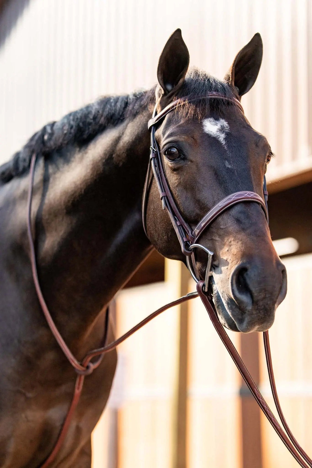 Huntley Equestrian Fancy Stitched Schooling Hunter Bridle with Reins