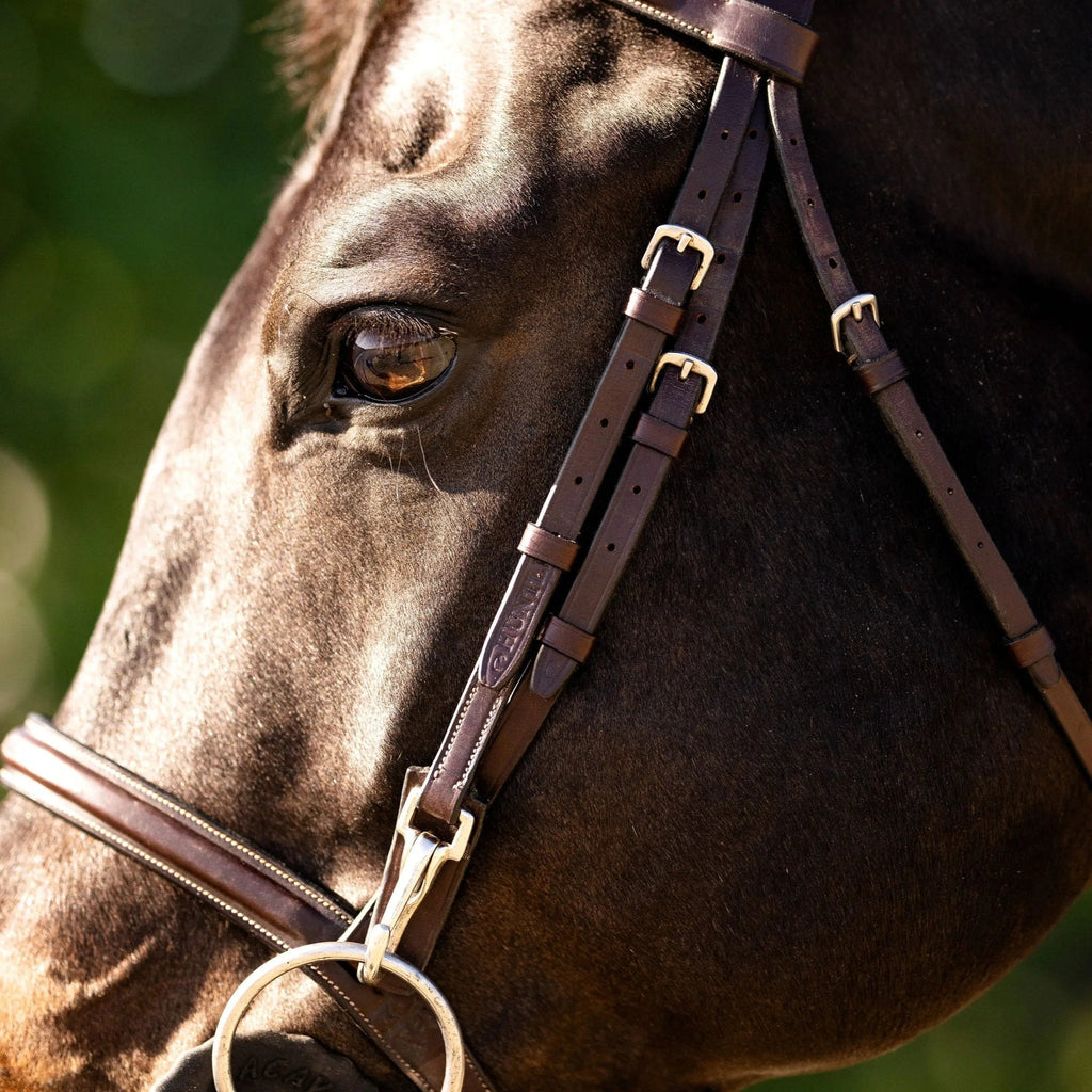 Huntley Equestrian Sedgwick Fancy Stitched Bridle with Cheek Clips and Reins