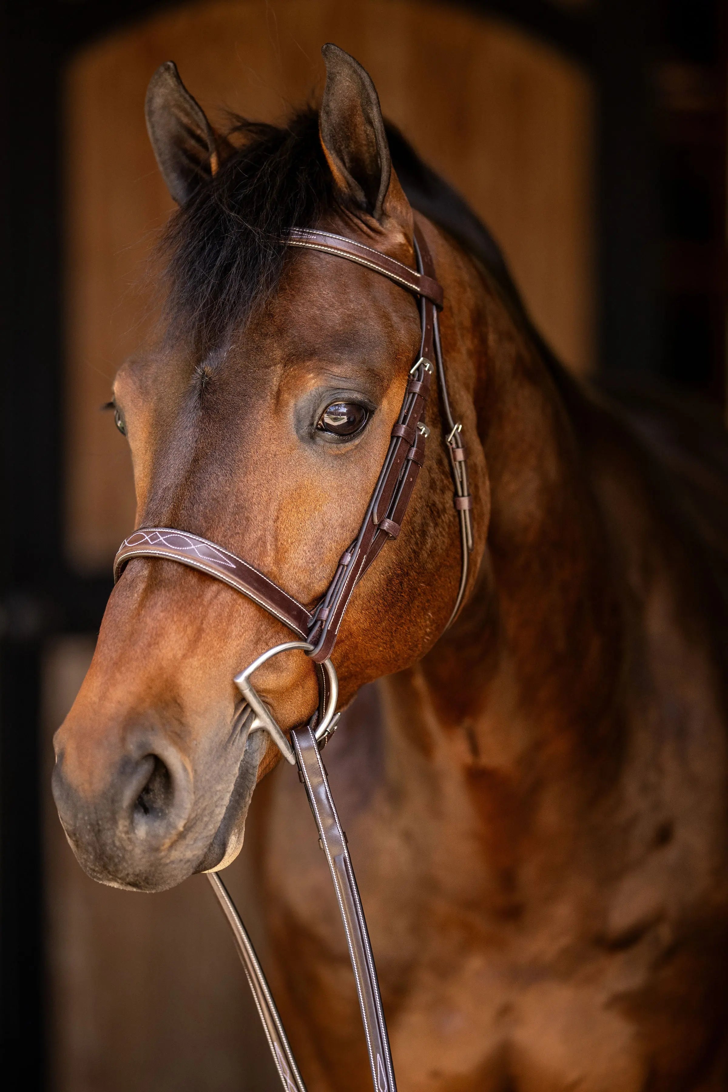 Huntley Equestrian Sedgwick Fancy Stitched Square Raised Hunter Horse Bridle with Reins