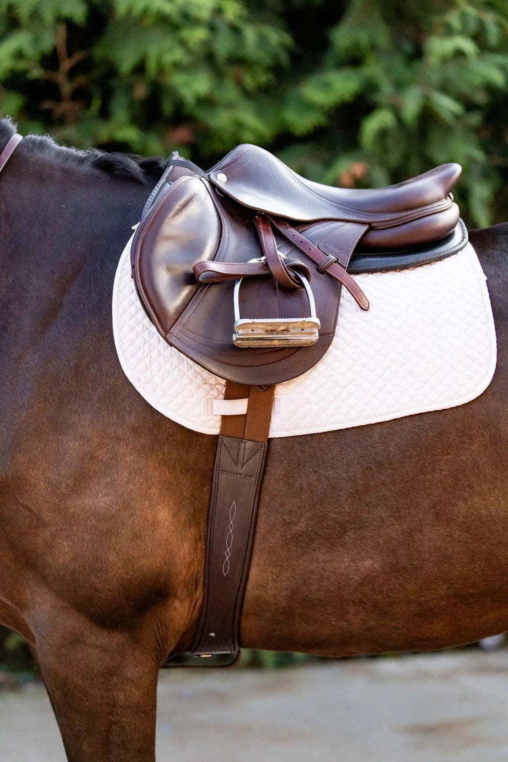 Huntley Equestrian Sedgwick Leather Fancy Stitched Padded Leather Contour Shaped Girth with Double End Elastic