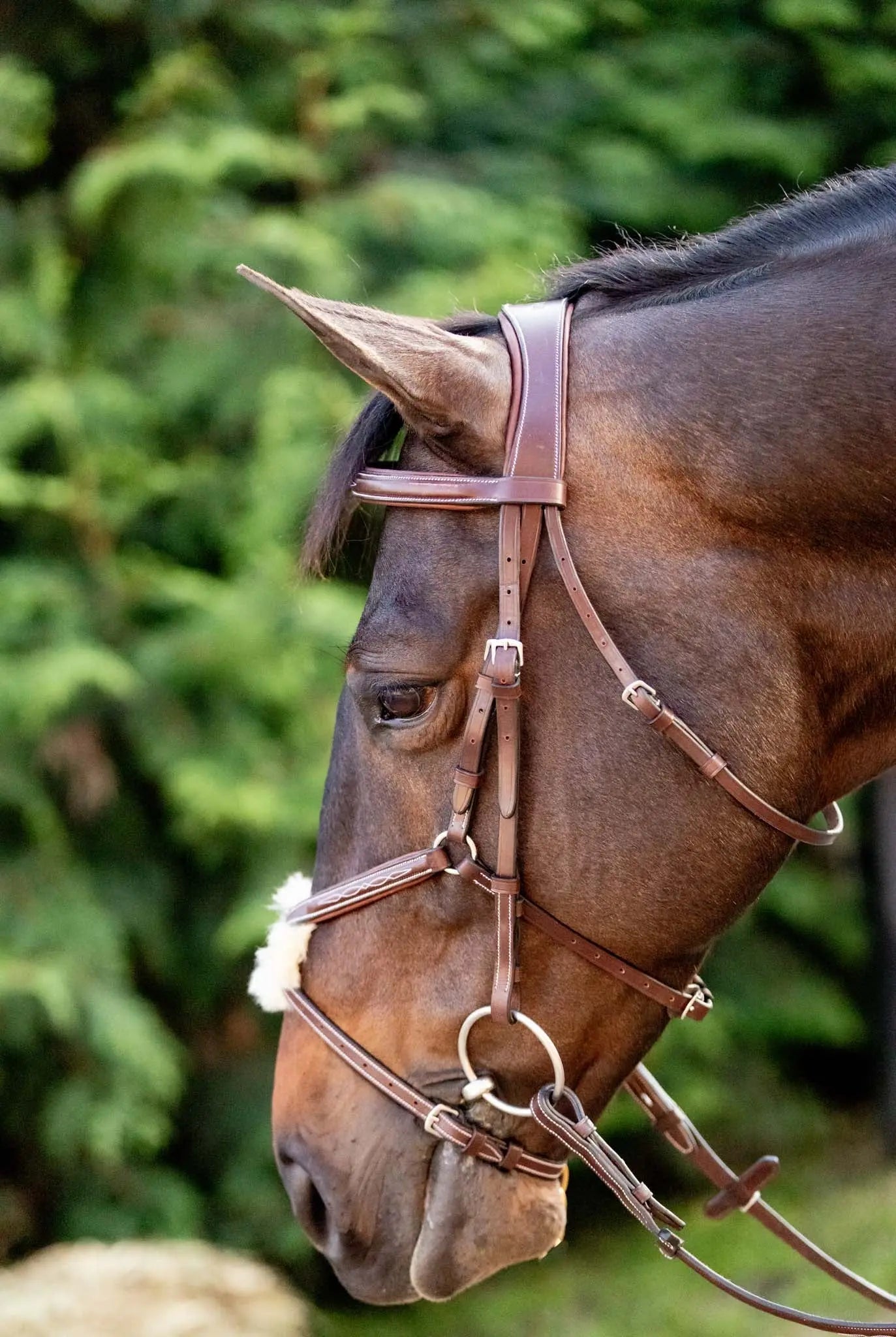 Huntley Equestrian Sedgwick Leather Padded Monocrown Figure 8 Bridle